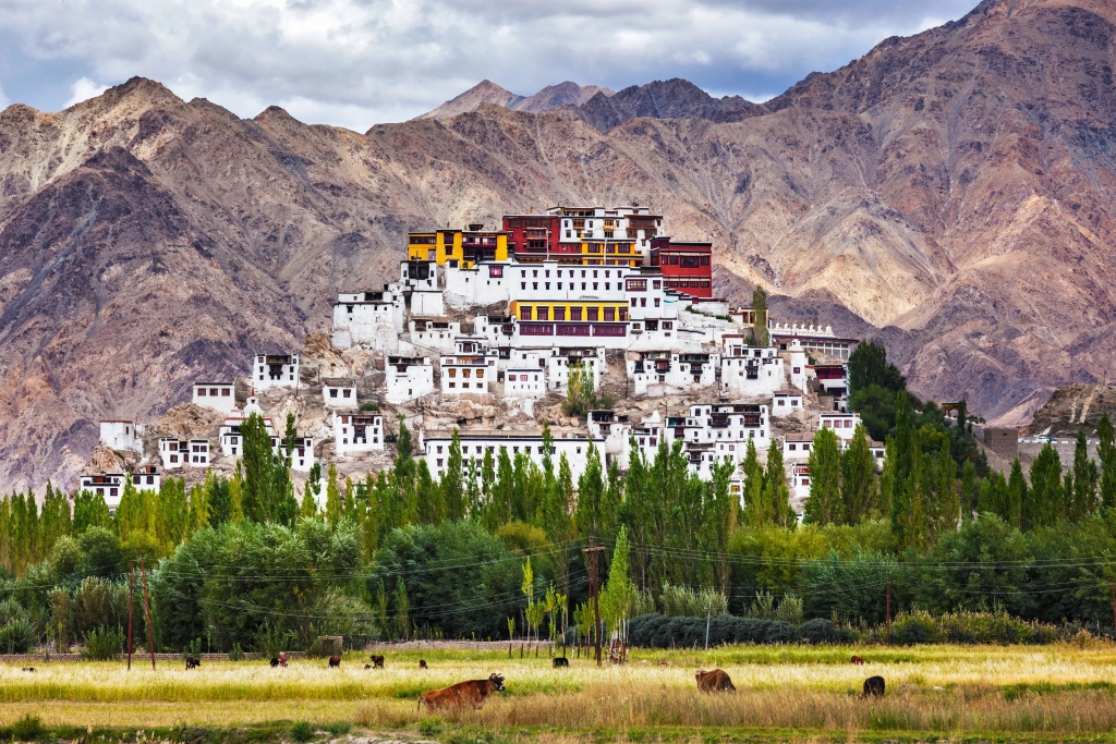 Leh Ladakh Trips | Leh, Nubra Valley, Hunder, Pangong Lake, Tso Moriri Complete Trip Plans 