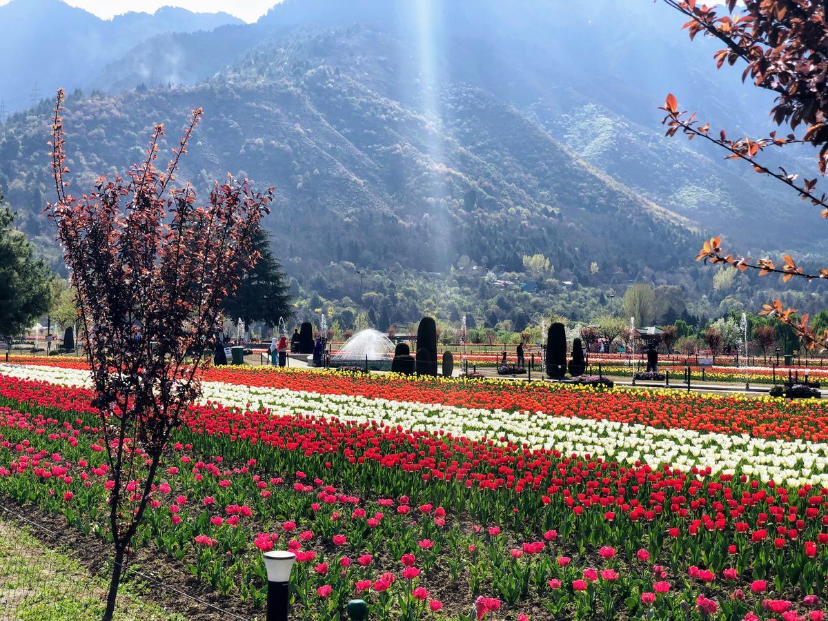 Dal Lake